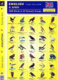 ENGLISH 6. BIRDS
