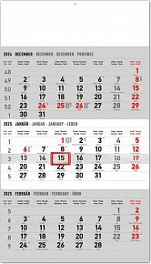 NOTIQUE Nástenný kalendár 3-mesačný štandard sivý – so slovenskými menami 2025, 29,5 x 43 cm