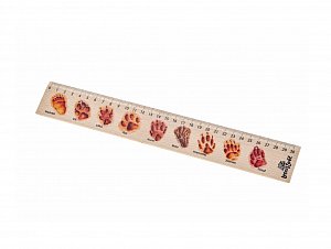 Dřevěné pravítko 30 cm - Stopy