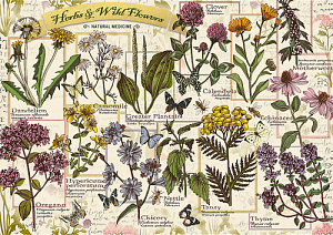 Puzzle Herbarium: Léčivé byliny 500 dílků