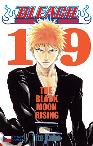 Bleach 19: Black Moon Rising