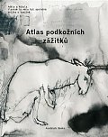 Atlas podkožních zážitků / K problematice viděného