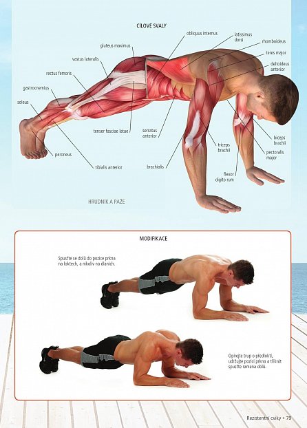 Náhled Střed těla – core trénink. Přehledný průvodce pro posílení všech svalů