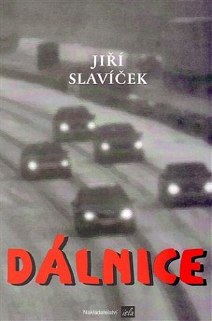 Dálnice