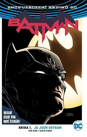 Batman 01: Já jsem Gotham V8