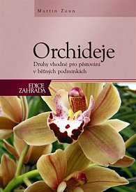 Orchideje - Druhy vhodné pro pěstování v běžných podmínkách