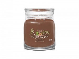 YANKEE CANDLE Praline & Birch svíčka 368g / 2 knoty (Signature střední)