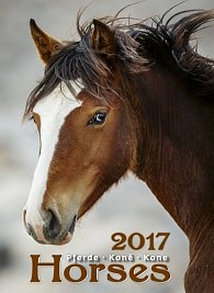 Kalendář nástěnný 2017 - Koně