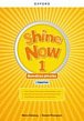 Shine Now 1 Teacher's Guide with Digital pack Czech edition