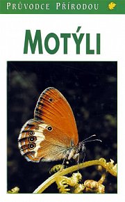 Motýli - 3. vydání - Steinbach
