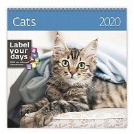 Kalendář nástěnný 2020 - Cats