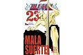 Bleach 23: Mala Suerte!