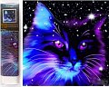 Diamantové malování 7D Hvězdné kotě