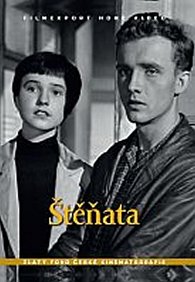 Štěňata - DVD box