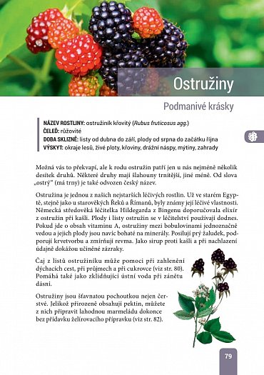 Náhled Jedlé město - Vyjděte do ulic! 36 zdraví prospěšných rostlin hned za humny a přes 100 receptů, díky nimž ušetříte a které vám udělají radost
