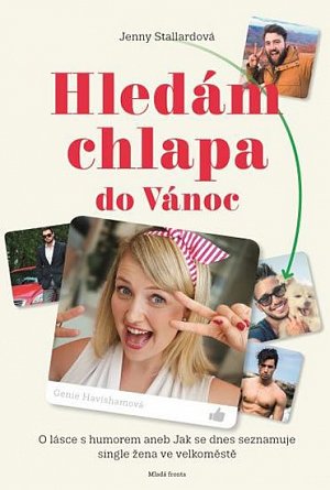 Hledám chlapa do vánoc