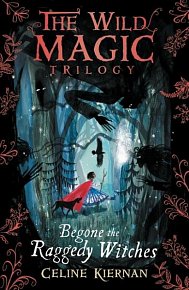 The Wild Magic 1: Begone the Raggedy Witches