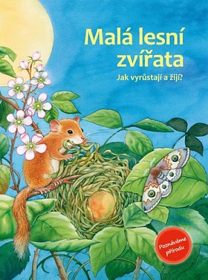Malá lesní zvířata - Jak vyrůstají a žijí?