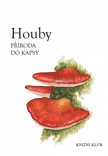 Náhled Houby, 1.  vydání