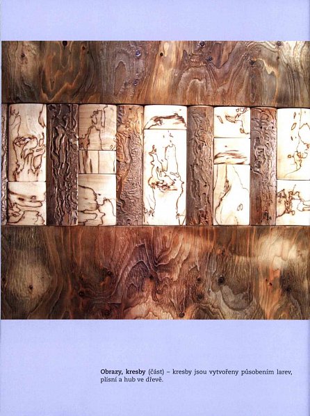 Náhled Velká kniha o dřevě
