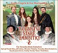 Tajemství staré bambitky 2 - CDmp3