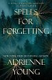 Spells for Forgetting: the magical and compelling mystery perfect for winter nights