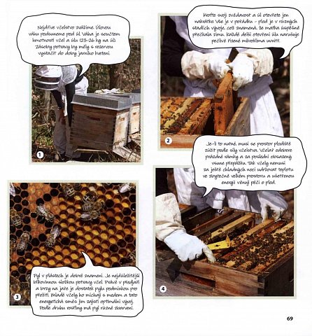 Náhled Základy včelaření - Vše, co musí zájemci o včelaření znát