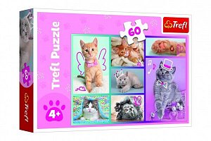 Trefl Puzzle Roztomilá koťátka 60 dílků