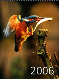 Ledňáček 2006 - nástěnný kalendář