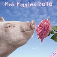 Prasata Pink Piggies 2010 - nástěnný kalendář