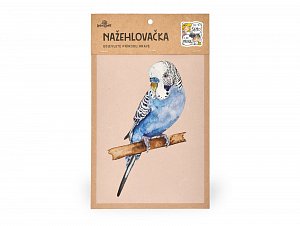 Nažehlovačka M 082 - Andulka vlnkovaná modrá