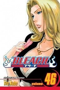 Bleach 46 (anglicky)