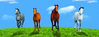 Záložka – Úžaska - Barevní koně