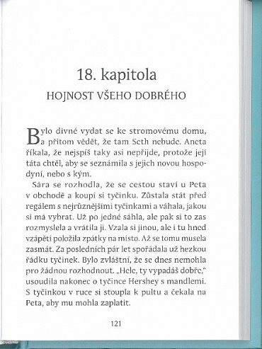 Náhled Sára kniha třetí - Mluvící sova je poklad