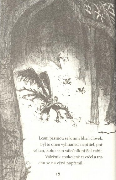 Náhled Jak uchvátit dračí klenot (Škyťák Šelmovská Štika III.) 10, 1.  vydání
