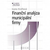 BP 31 Finanční analýza municipální firmy