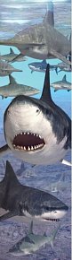 Žraločí záložka 3D