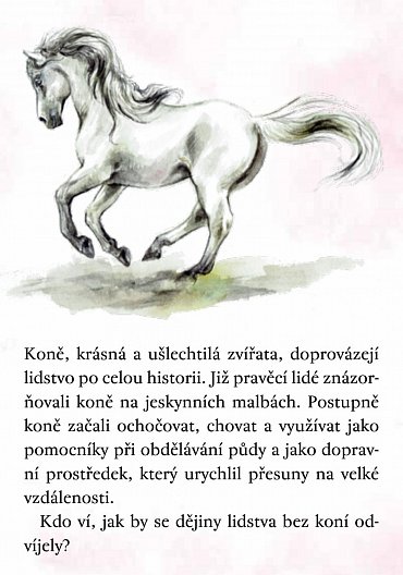 Náhled Koně