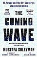 The Coming Wave: the ground-breaking book from the ultimate AI insider, 1.  vydání