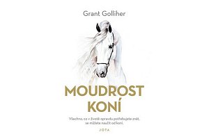Moudrost koní