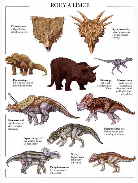 Náhled Dinosauři - Samolepková knížka