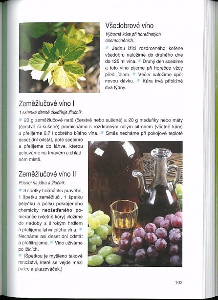 Náhled Kniha osvědčených bylinkových receptů