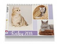 Kočky - stolní kalendář