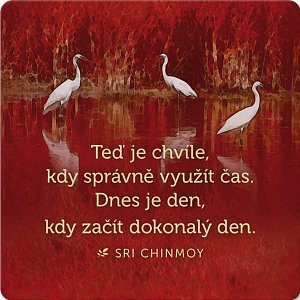 Korkový podtácek s citátem "Teď je chvíle, kdy správně využít čas. Dnes je den, kdy začít dokonalý den"