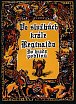 Ve službách krále Reginalda - Do hradu goblinů (gamebook)