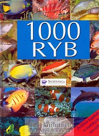 1000 ryb - Svojtka