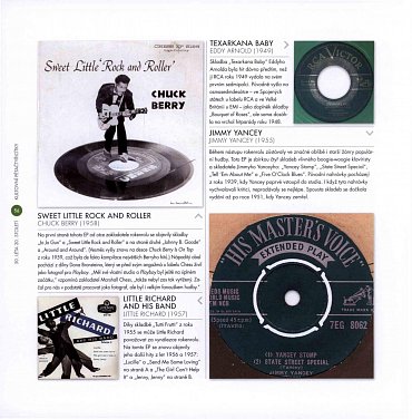 Náhled Vinyl - Umění výroby desek