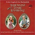 Tajemství staré bambitky - CDmp3