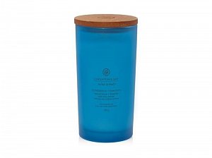 Vonná svíčka CHESAPEAKE BAY CANDLE Confidence & Freedom 355g