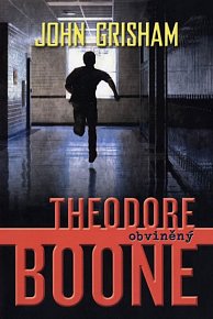 Theodore Boone 3 - Obviněný